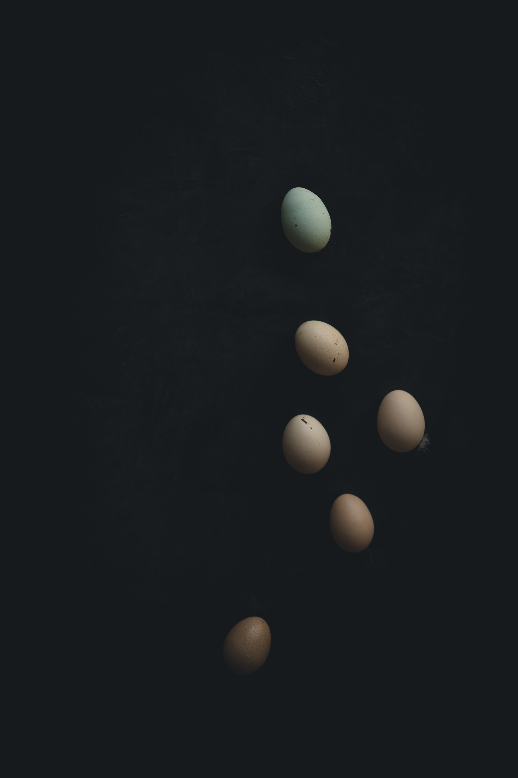 Chicken Eggs on a black background from the Moody Food series by John Robson Photography