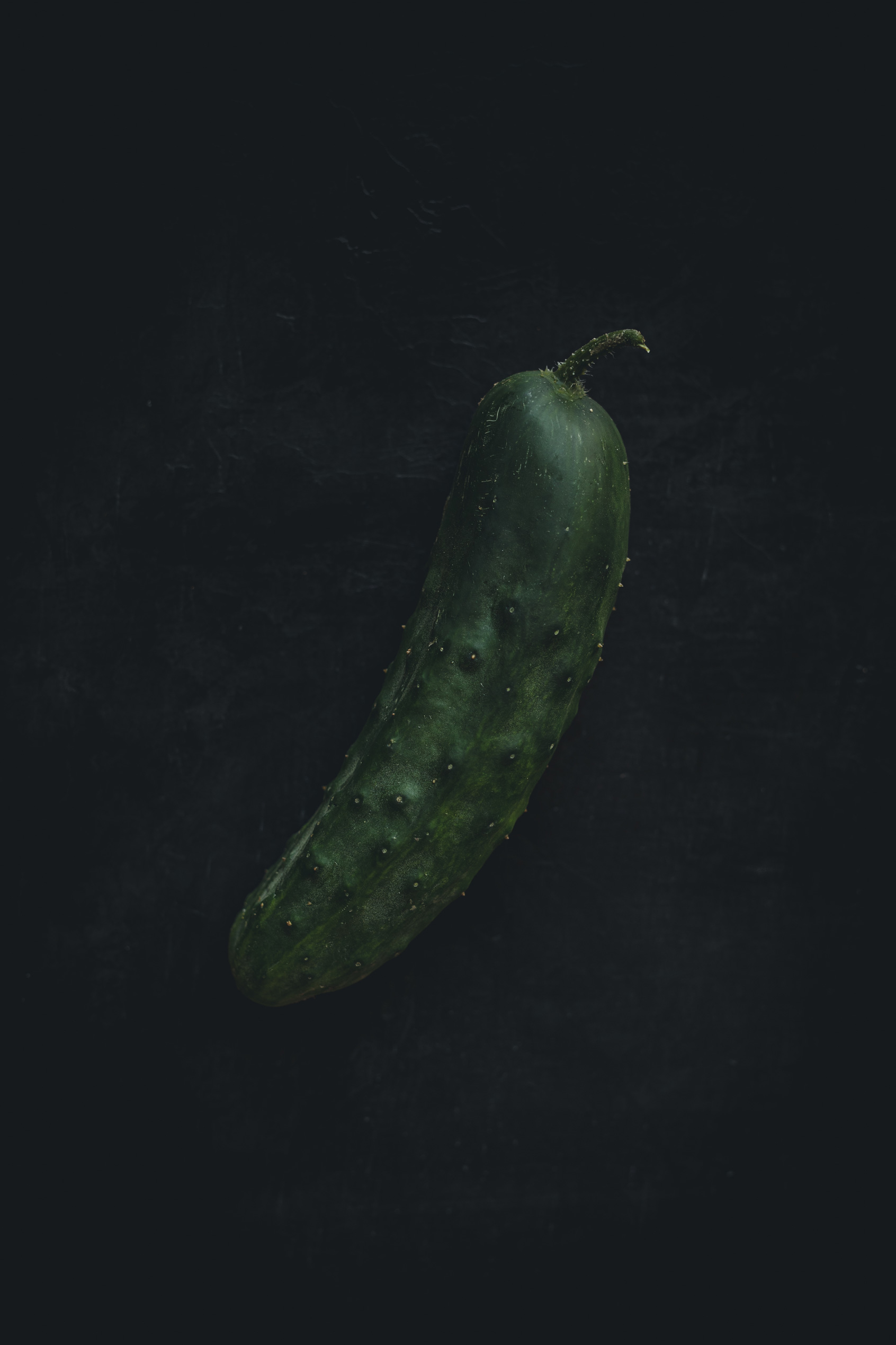 Cucumber on a black background from the Moody Food series by John Robson Photography