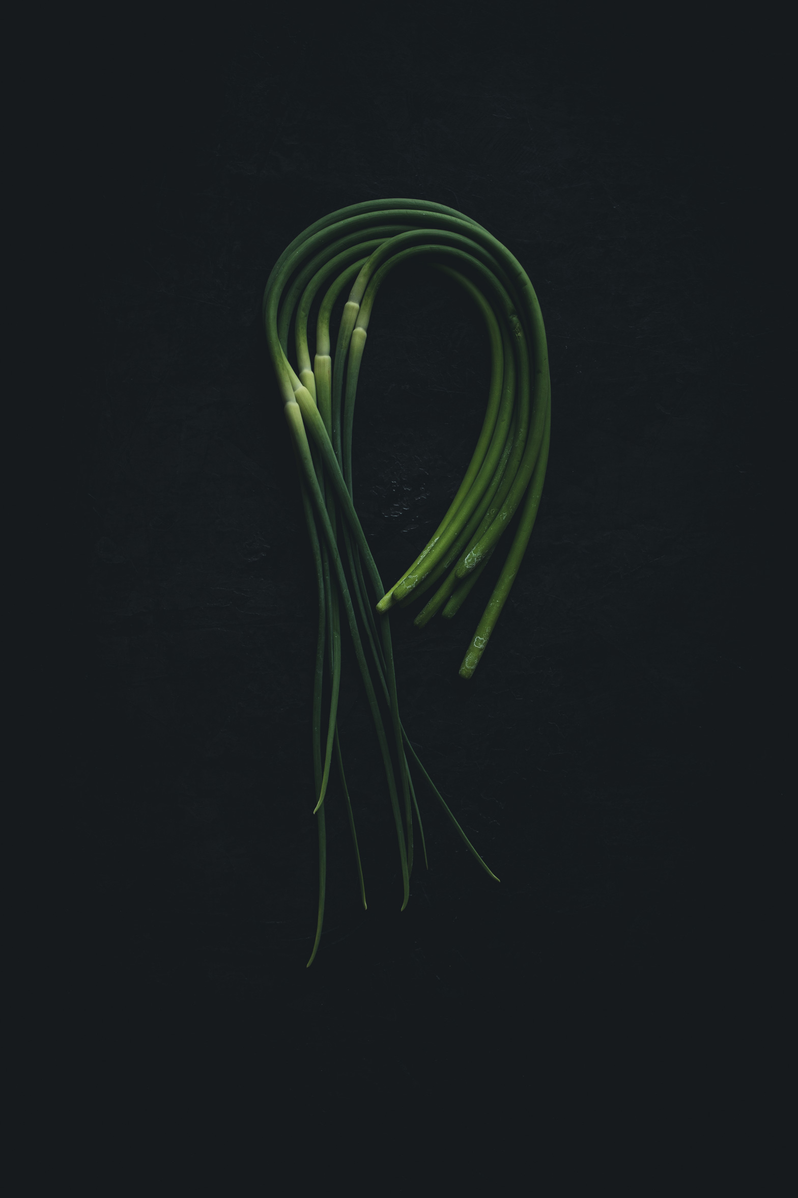 Garlic Scapes rounded on a black background from the Moody Food series by John Robson Photography