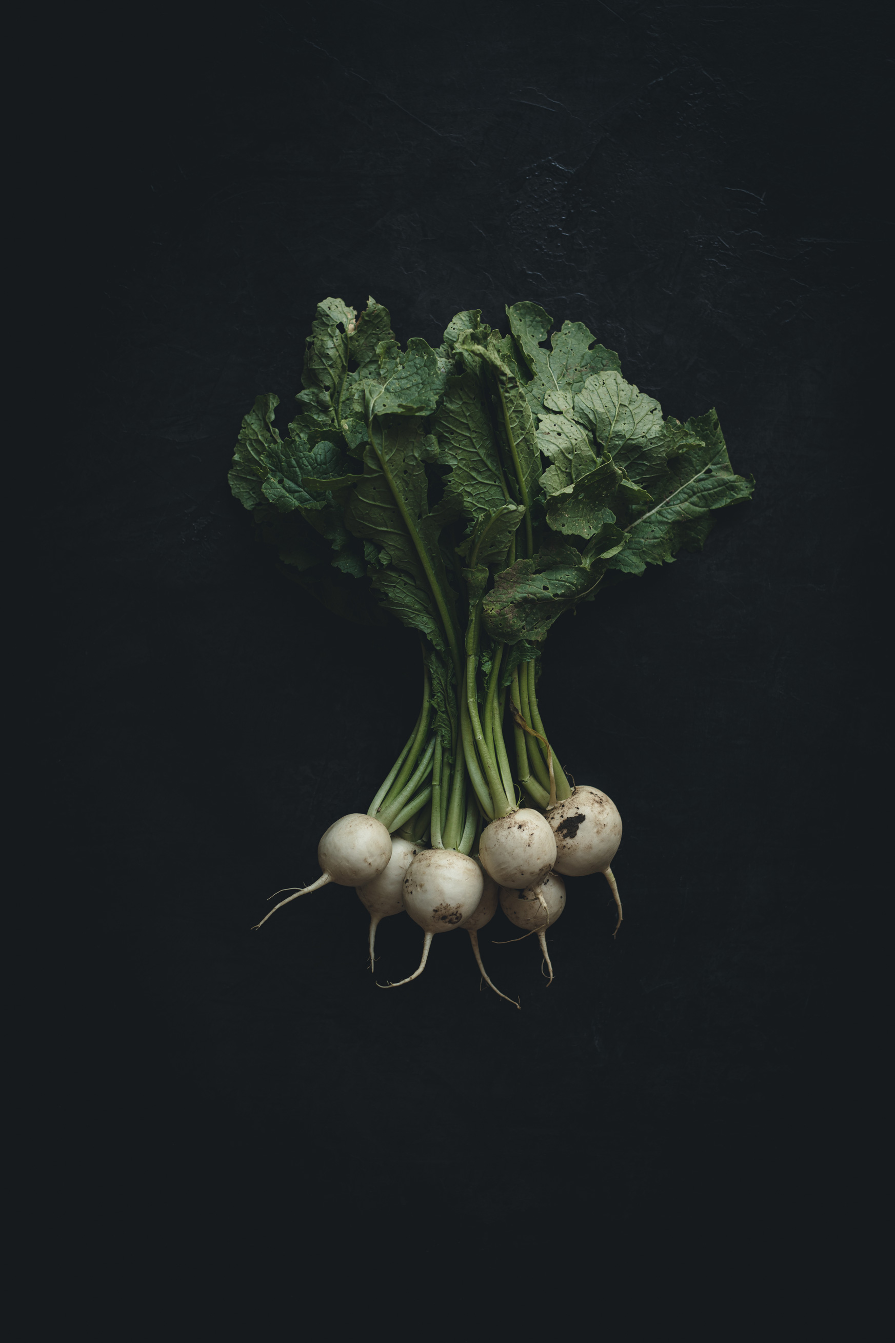 Turnips on a black background from the Moody Food series by John Robson Photography