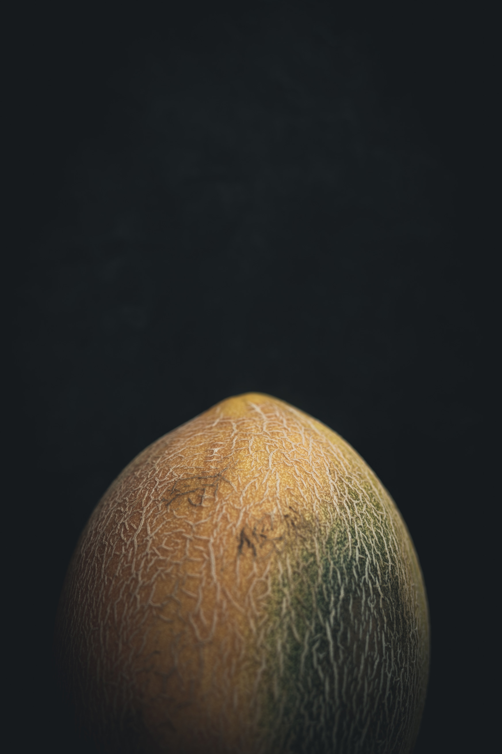 White Cantaloupe on a black background from the Moody Food series by John Robson Photography