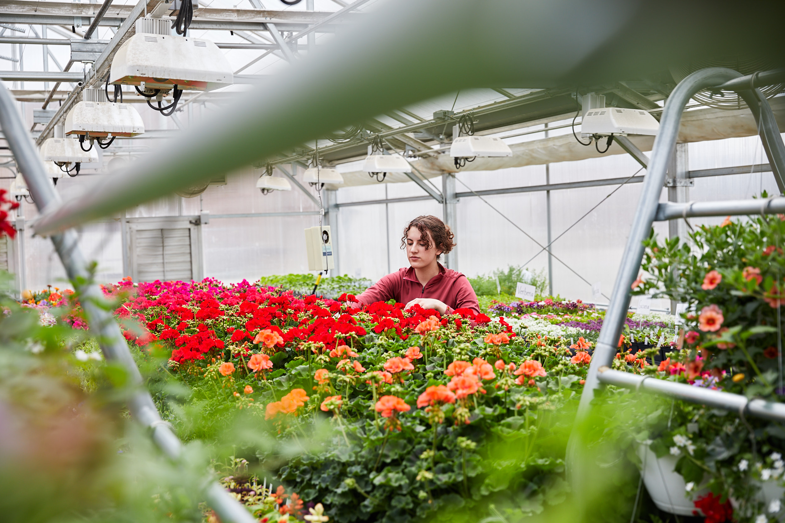 Windsor High School student in greenhouse - John Robson Photography