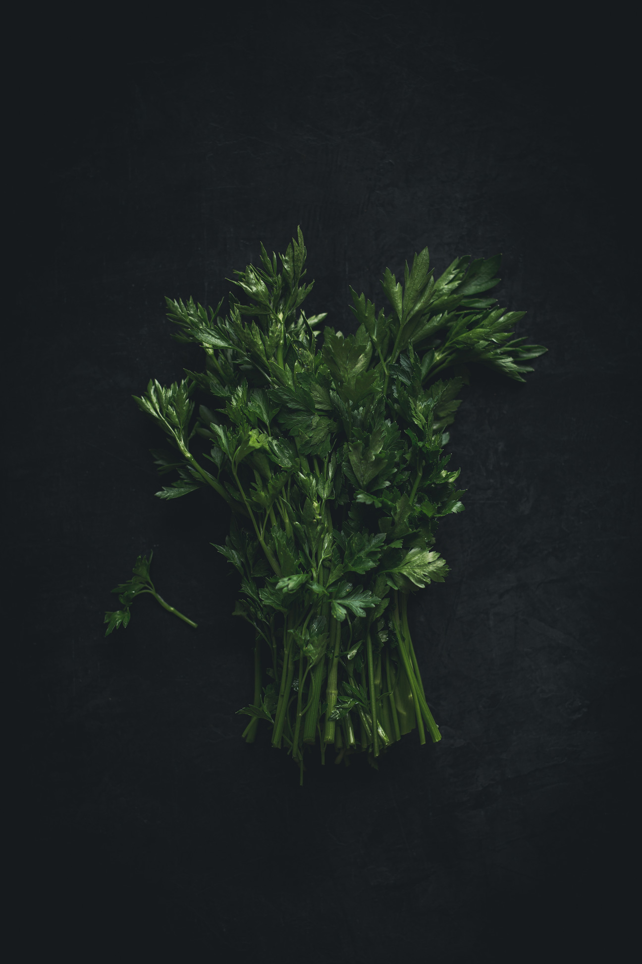 Parsley on a black background from the Moody Food series by John Robson Photography