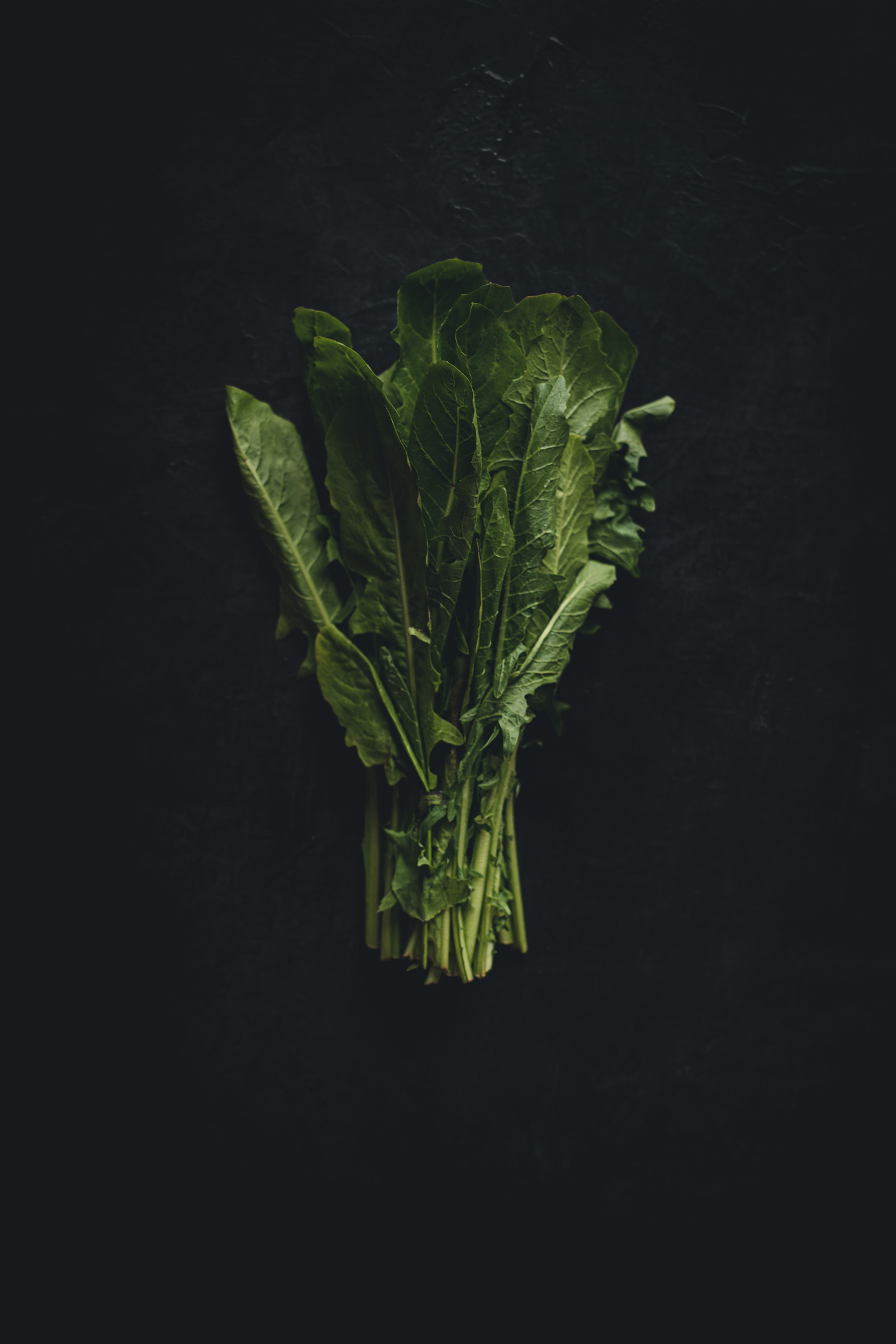 Dandelion Greens on a black background from the Moody Food series by John Robson Photography