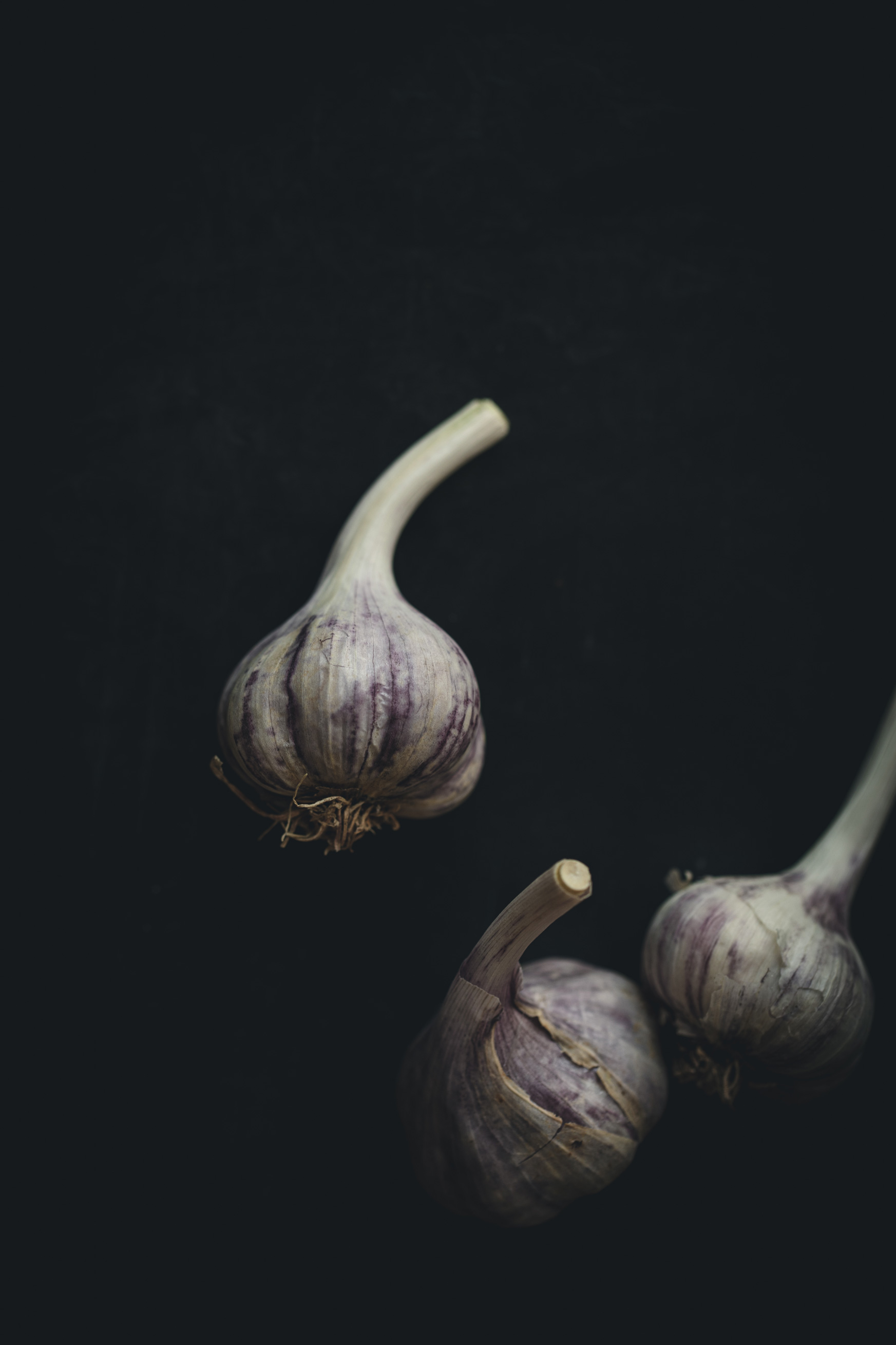 Garlic on a black background from the Moody Food series by John Robson Photography