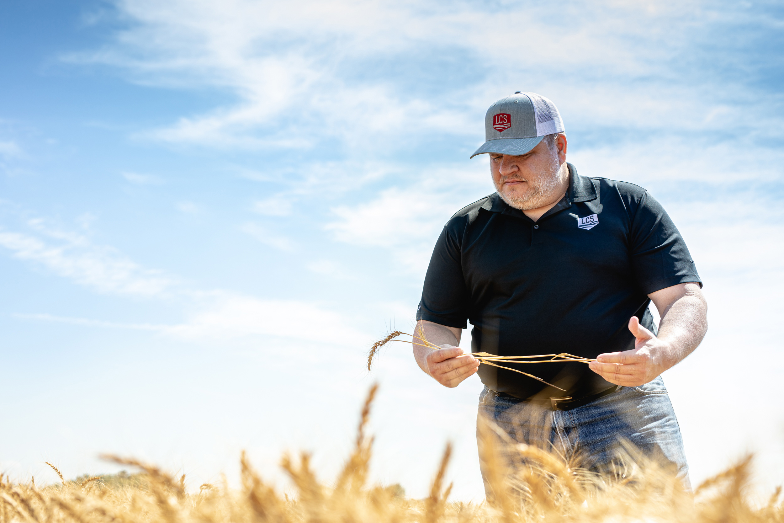 Ag engineer reviewing wheat in a field in Northern Colorado - John Robson Photography