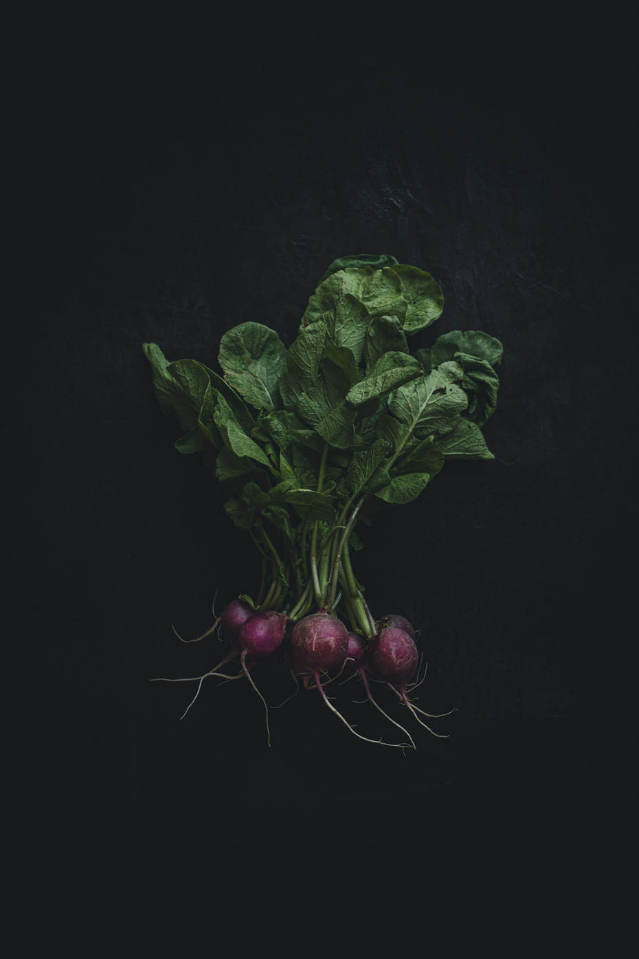 Purple Radishes on a black background from the Moody Food series by John Robson Photography
