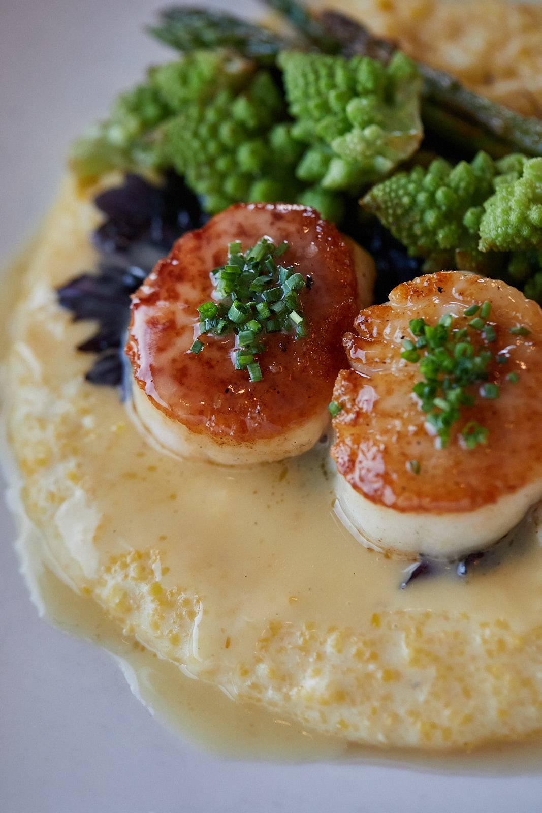 Close up of scallops and grits at Chimney Park Restaurant in Windsor, Colorado - John Robson Photography